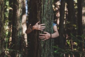 One Tree at the time - An ENSLEY VAN DEN BERG column by Kisa